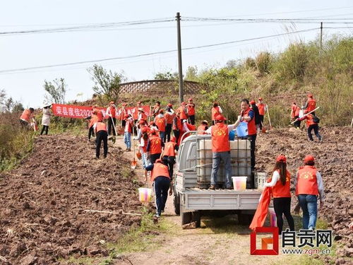 榮縣50多名機(jī)關(guān)黨員干部植下一地綠為黨旗添一片彩