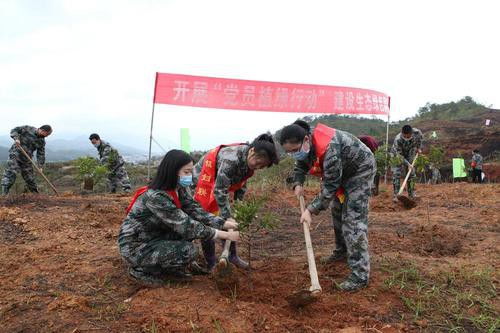 福建長(zhǎng)汀 線上線下植樹忙