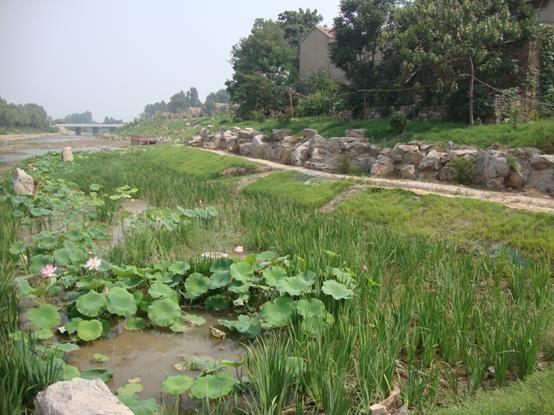 區(qū)水務局出重錘防止水土流失科學涵養(yǎng)水源