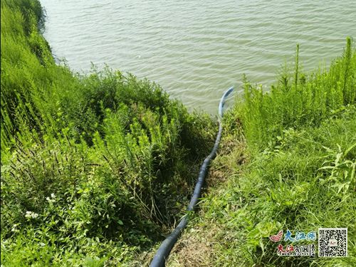 彭澤縣芙蓉墩鎮(zhèn)鳳凰村 全力抗旱保灌溉 組圖