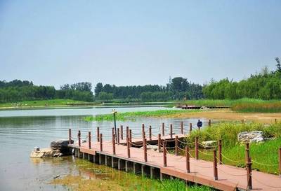 簡直是美翻了~北京這些驚艷的濕地公園,數(shù)數(shù)你去過多少個?_搜狐旅游